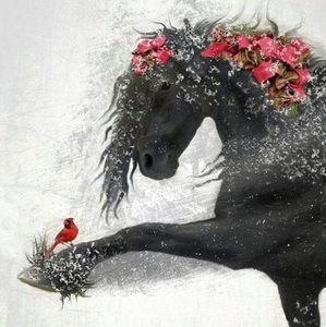 Meet your Posher, Joy